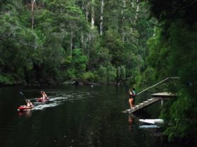 WA Wilderness Drafty