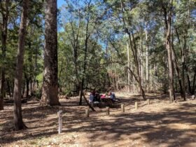 Two people sitting at a picnic table under trees.