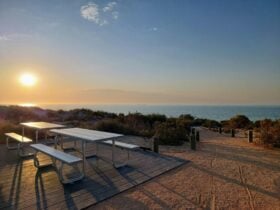 Picnic tables with a view of the ocean.