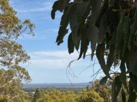 Yarrabah High Country- Jarrahdale