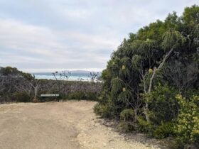 Path leading to ocean.