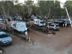 A vibrant parade of homes-on-wheels @ York Caravan Park basking in the great outdoors