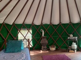 Yurt Abundance in Perth Hills