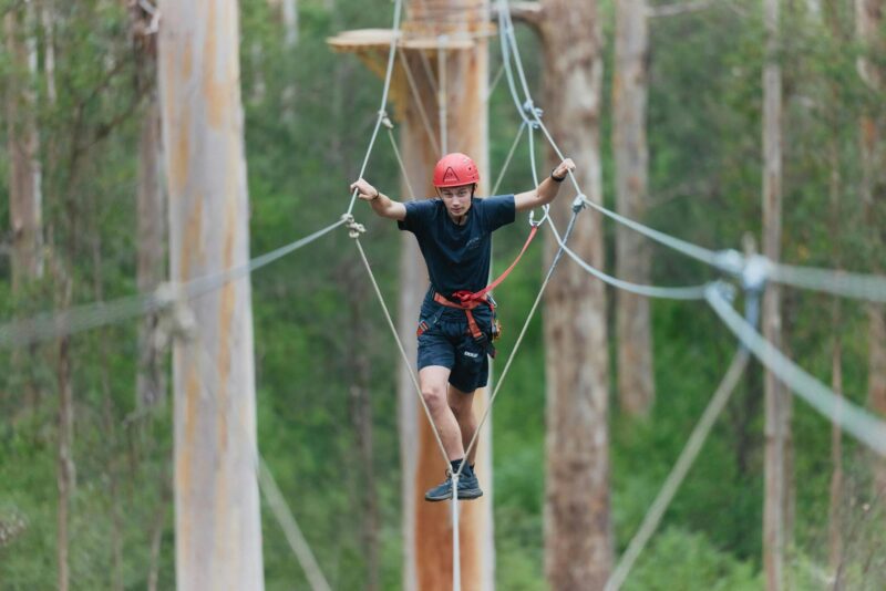 A young adult at 25m+ above the ground, crossing a monkey bridge among the karri trees.