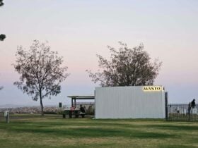 Avanto Sauna on Esperance foreshore at dusk, white sauna, coastal trees, ocean backdrop