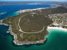 Avenue of Honour, Albany, Western Australia