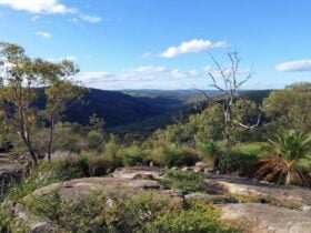 Bald Hill Avon Valley National Park nature view of mountains with blue sky and scrub