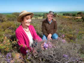 Badgingarra National Park, Badgingarra, Western Australia