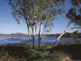 Bandicoot Bar, Kununurra, Western Australia