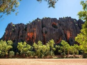 Bandilngan (Windjana Gorge) National Park, Derby, Western Australia