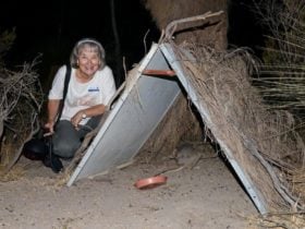 Barna Mia Native Animal Sanctuary, Dryandra, Western Australia