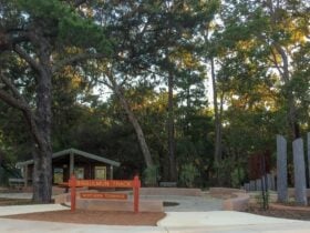 Bibbulmun Track, Kalamunda, Western Australia