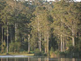 Big Brook Dam, Pemberton, Western Australia