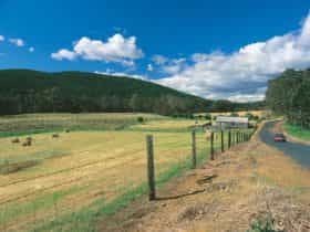 Blackwood River Tourist Drive, Balingup, Western Australia