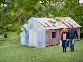 Golden Valley Tree Park, Balingup