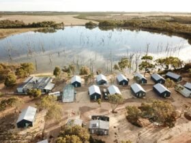 Cabins