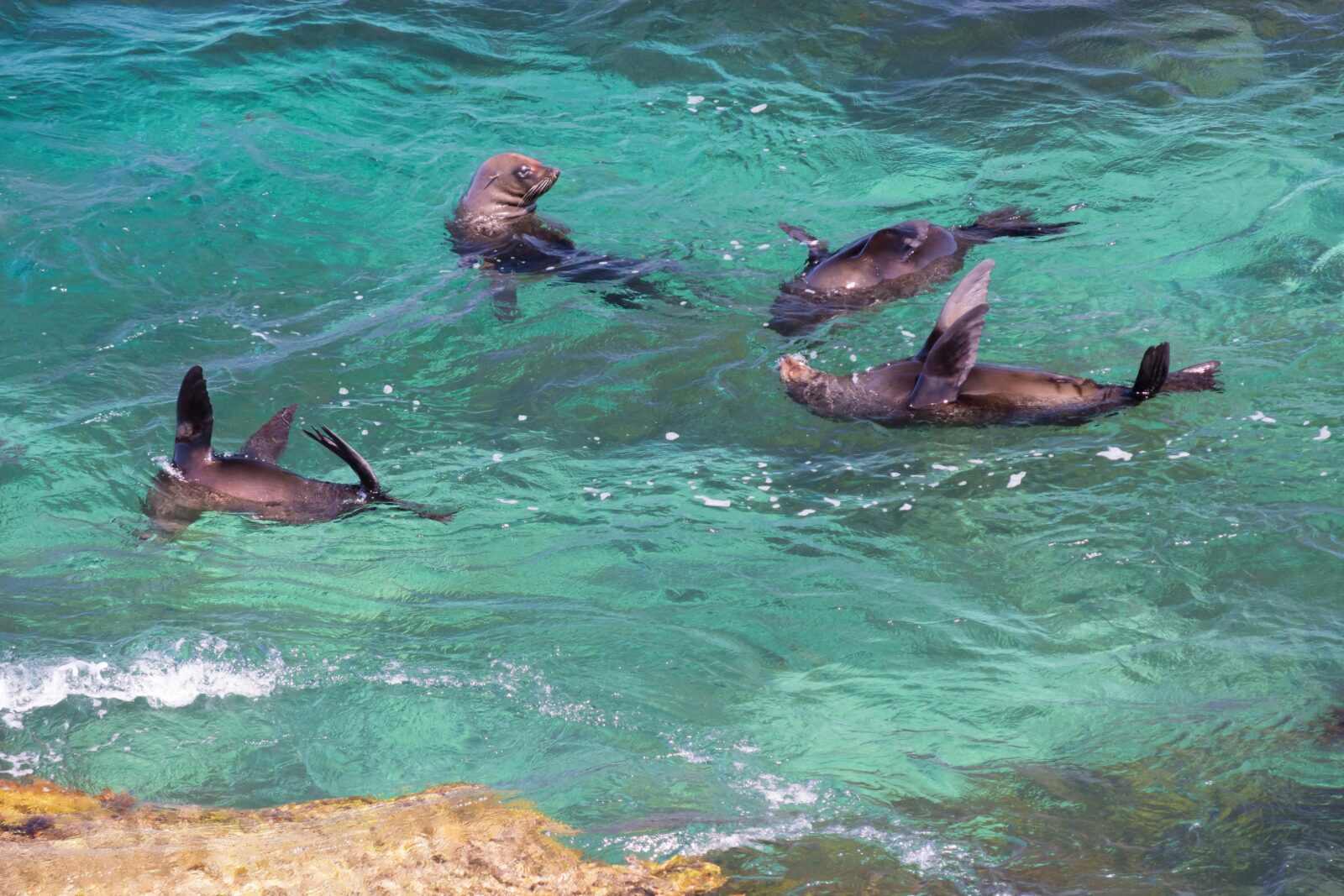 Cathedral Rocks Viewing Platform, Rottnest Island, Western Australia