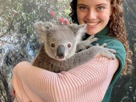 Caversham Wildlife Park, Whiteman, Western Australia