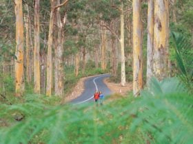 Caves Road, Margaret River, Western Australia