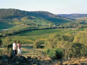 Farm Flavour Trail, Chittering Valley, Western Australia