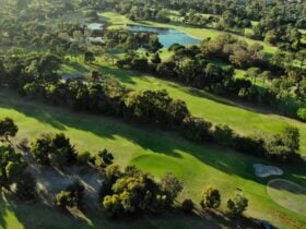 Collier Park Golf