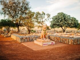 Corrigin Dog Cemetry