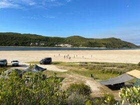 People playing on a beach near a river.