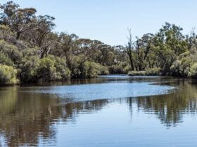 Dale River