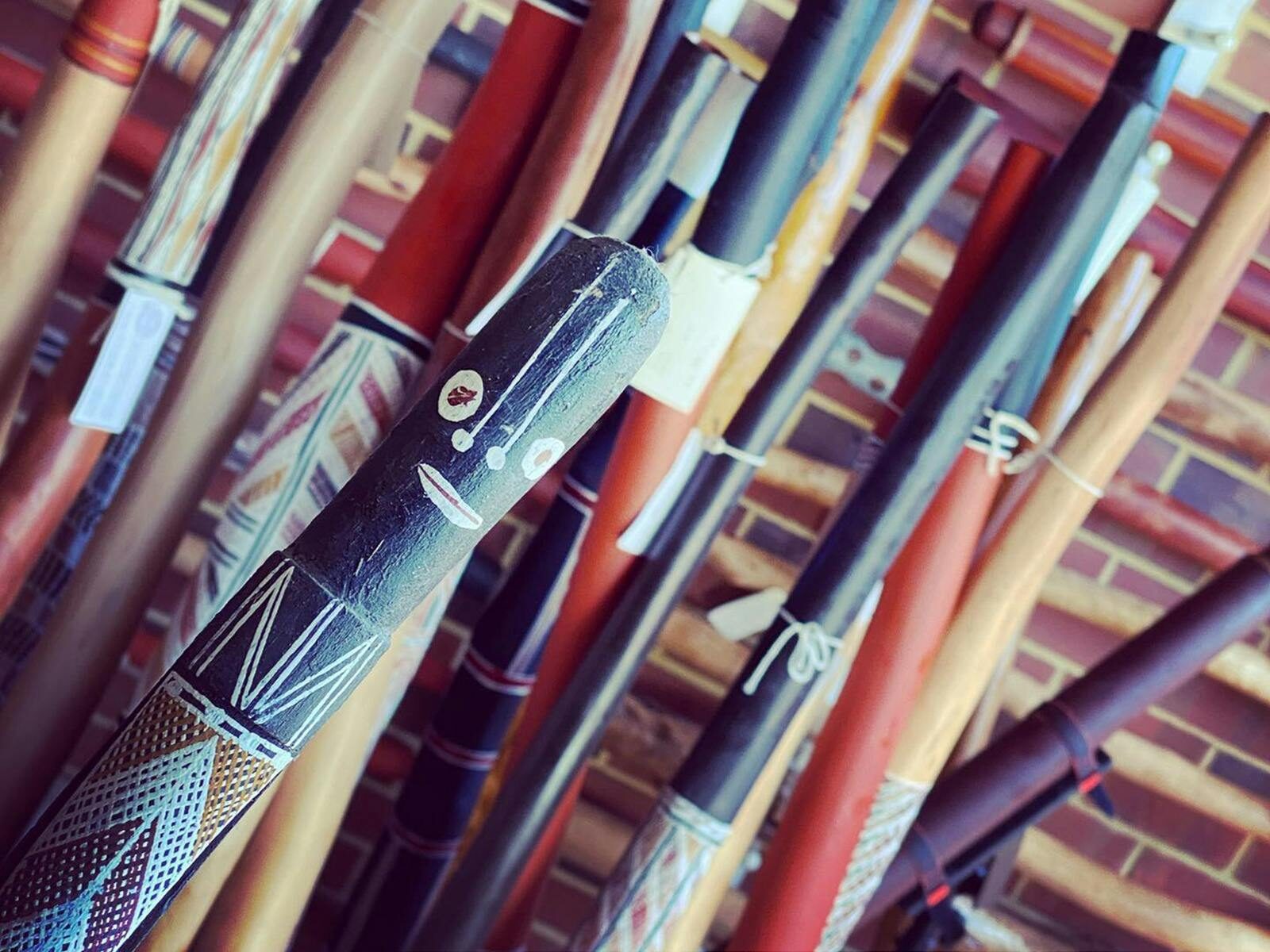 Didgeridoo Breath, Bibra Lake, Western Australia