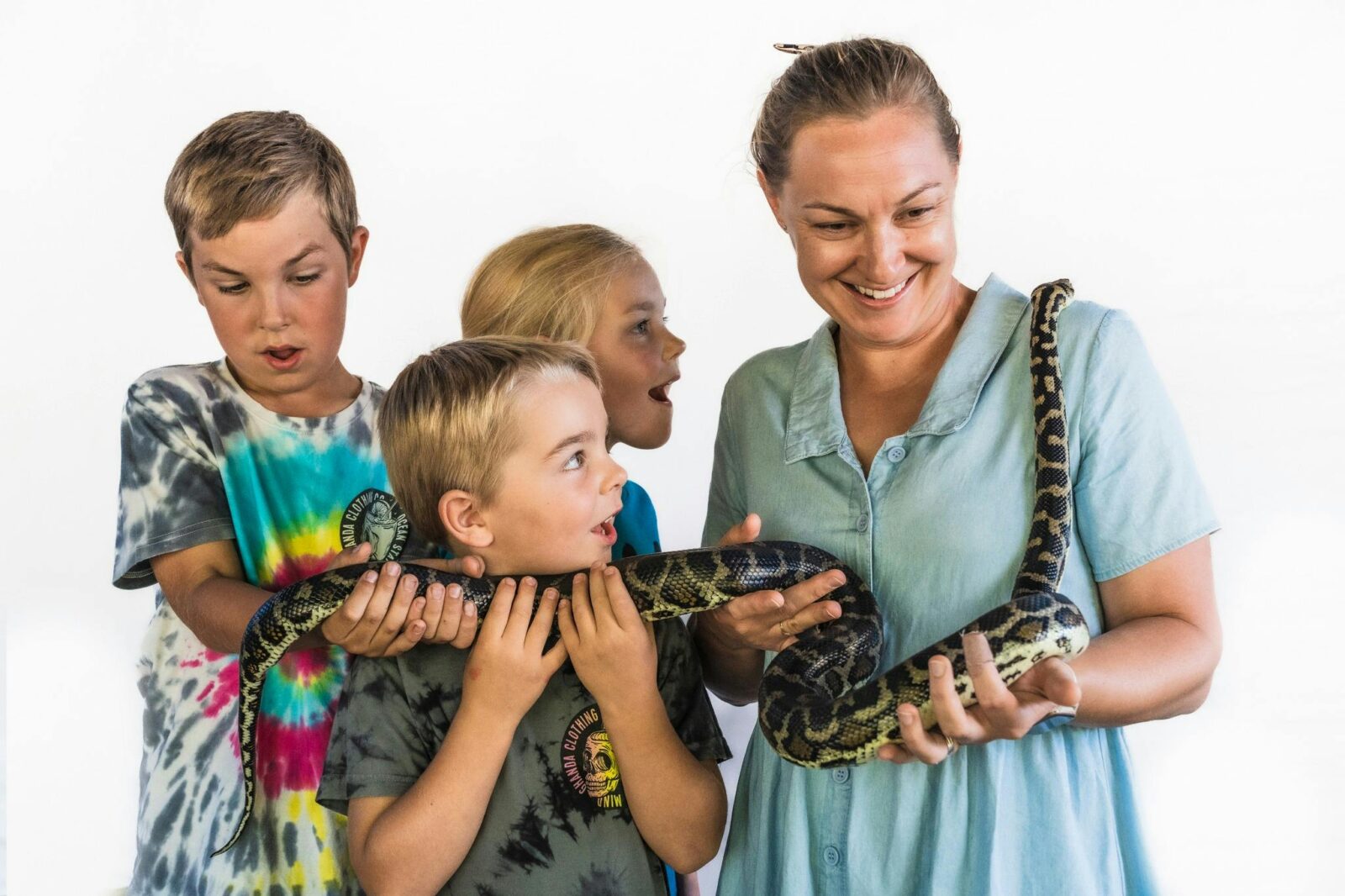 Family Photo Opportunities