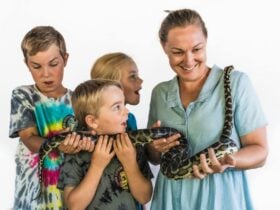 Family Photo Opportunities