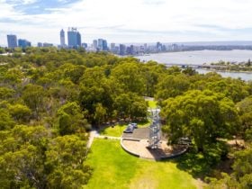 DNA Tower Climb, Kings Park, Western Australia