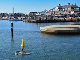 Dolphin Quay, Mandurah, Western Australia