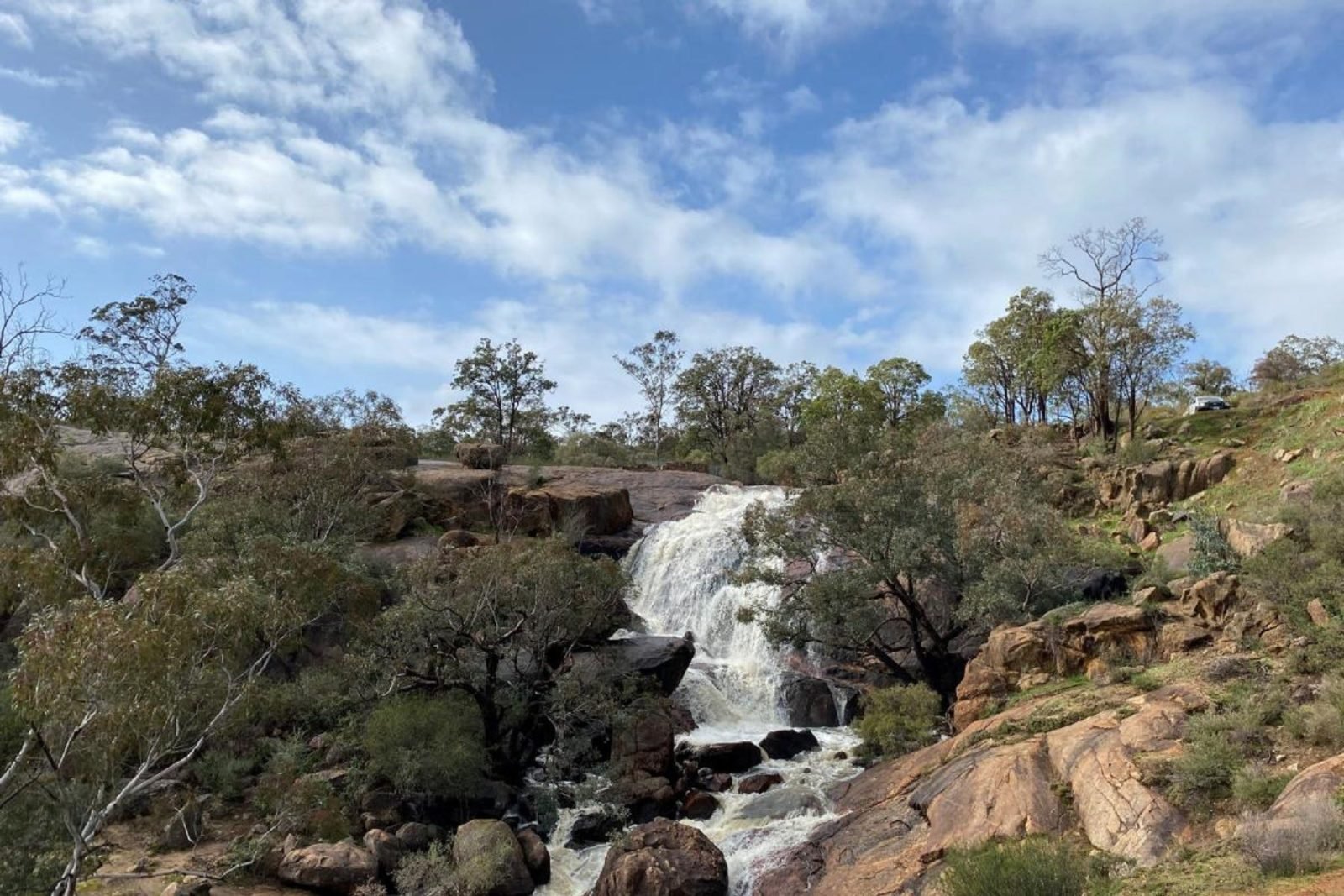 Eagle's View Walk, John Forrest National Park, Hovea, Western Australia
