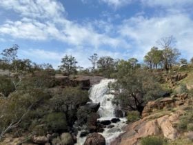 Eagle's View Walk, John Forrest National Park, Hovea, Western Australia