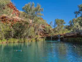 Fern Pool, Karijini, Western Australia