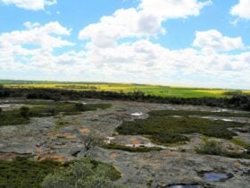 Gathercole Nature Reserve, Wongan Hills, Western Australia