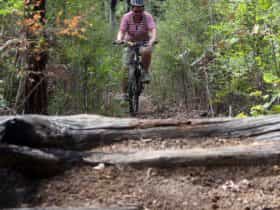 Grizzly Trail, Mount Lennard Trails, Western Australia
