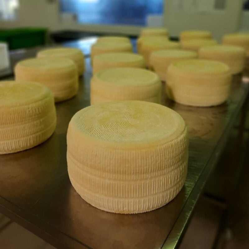 Harvey Cheese, Wokalup, Western Australia