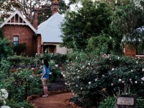 Heritage gardens, dusk, explore, nature, history