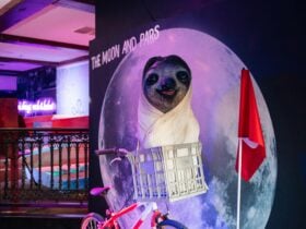 Holey Moley mini golf is the place to play