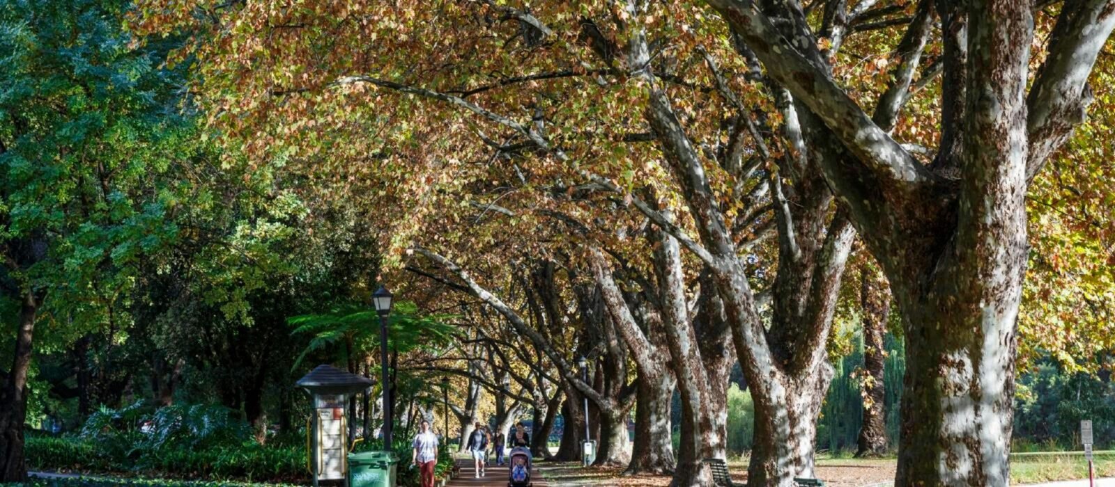 Hyde Park, Highgate, Western Australia