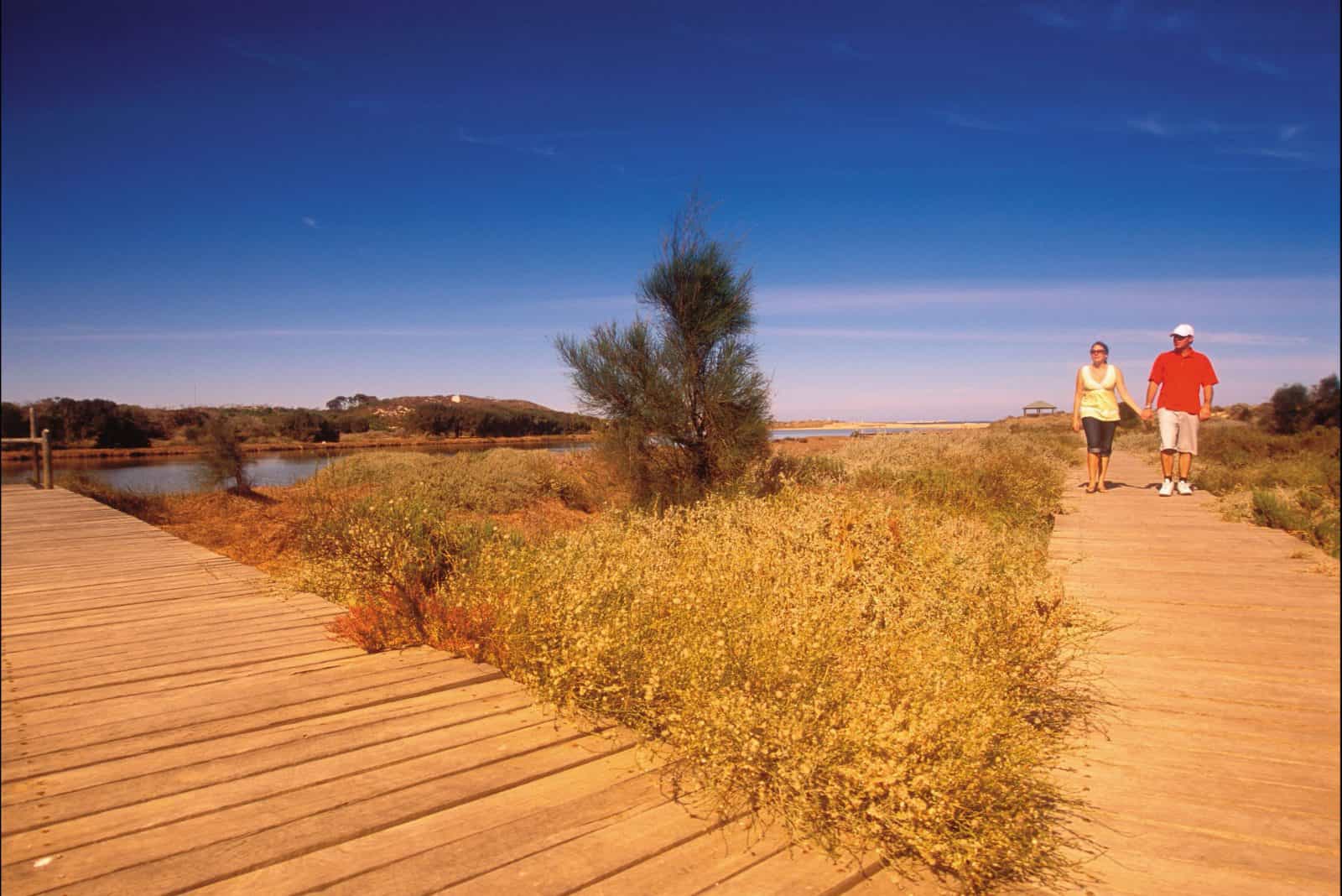 Irwin River Nature Trail, Dongara, Western Australia