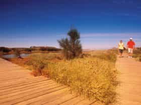 Irwin River Nature Trail, Dongara, Western Australia