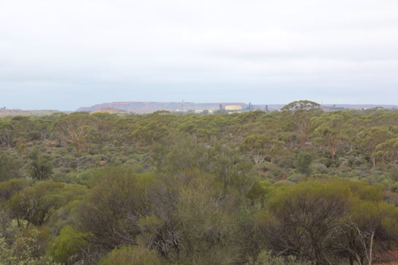 Karlkurla Bushland Park, Hannans, Western Australia