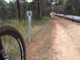 Kep Track, Mundaring Weir, Western Australia