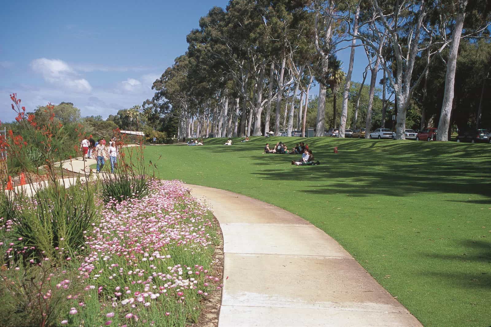 Kings Park Botanical Walks