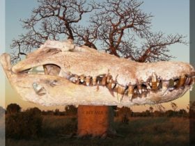 Kununurra Museum, Kununurra, Western Australia
