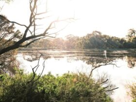 Lake Claremont