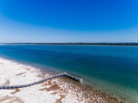 Lake Clifton Thrombolites